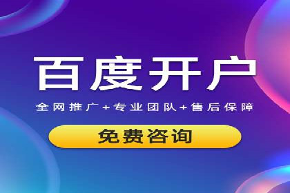 竞价排名的投放策略与效果评估案例